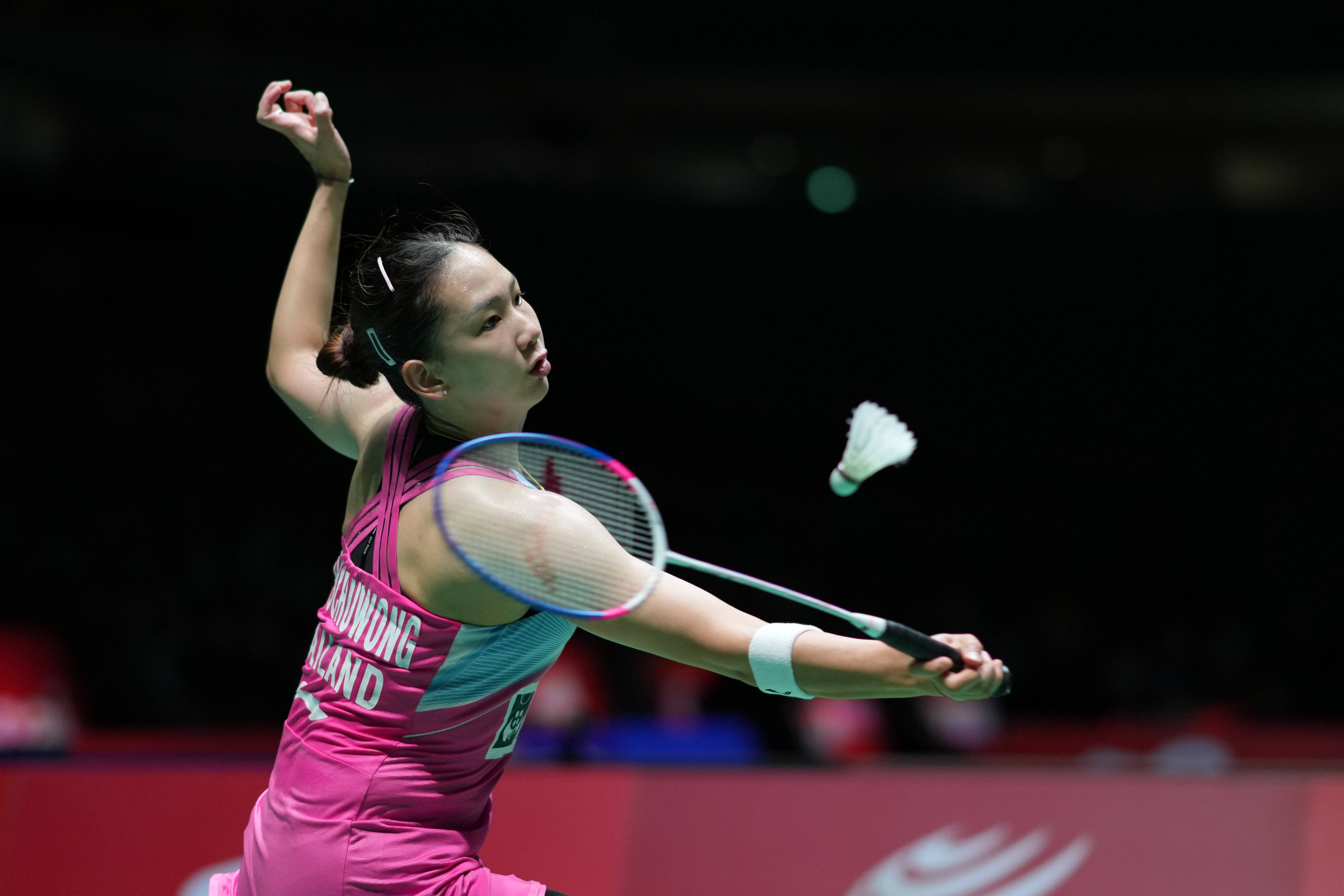 能收集更多 能收集更多