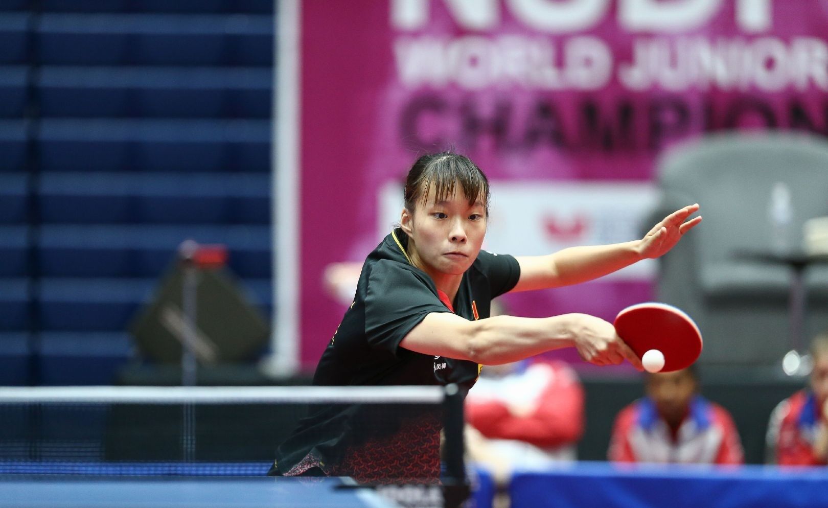 也是运营方 也是运营方