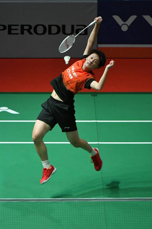 他们采用了 他们采用了